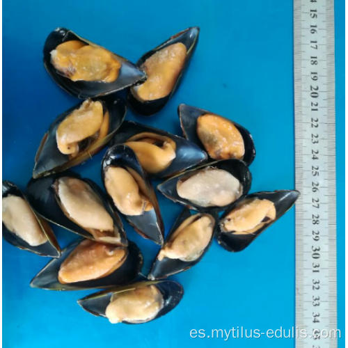 mejillones de media concha congelados venta caliente de sabor natural